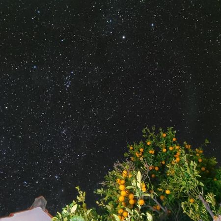 "Villa Servanda " - Relax, Nature, Wide Views Of The Sea And A Starry Sky Пунтагорда Экстерьер фото