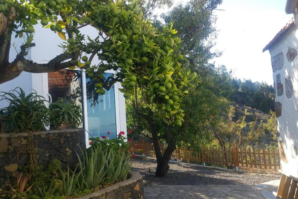 "Villa Servanda " - Relax, Nature, Wide Views Of The Sea And A Starry Sky Пунтагорда Экстерьер фото